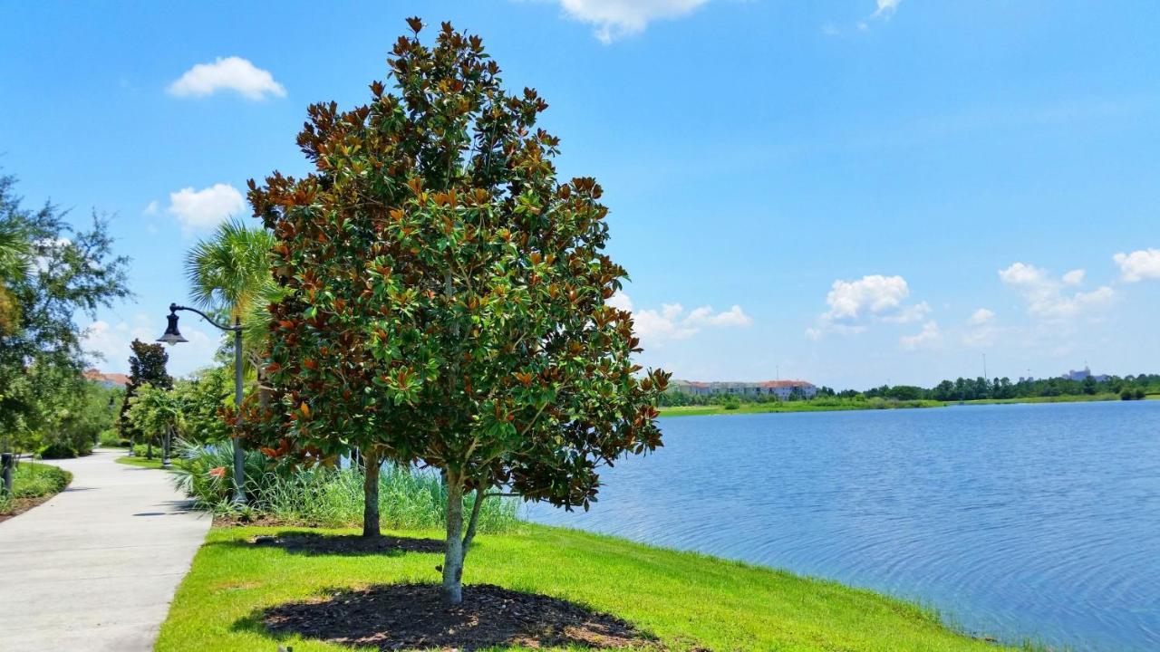 Ground-Floor Condo Next To Vista Cay Clubhouse And Pool! Orlando Exteriör bild